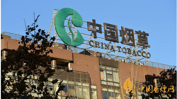 香煙漲價(jià)最新消息2020：香煙漲價(jià)真的能控?zé)焼?>
                                    <span>香煙漲價(jià)最新消息2020：香煙漲價(jià)真的能控?zé)焼?/span>
                                    <p>現(xiàn)在我國(guó)煙民的基數(shù)在不斷增大，而且有越來(lái)越多的青少年加入吸煙</p>
                                </a>
                            </li>
                                                                                </ul>
                    </div>

                </div>
            </div>
        </div>
    </div>

    
<link rel=
