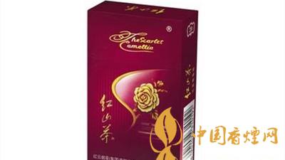 紅山茶紫市值多少錢？紅山茶紫口味如何？
