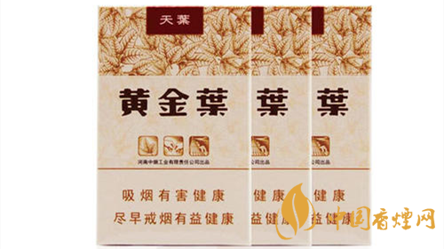 2020黃金葉天葉怎么樣？黃金葉大小天葉有什么不同