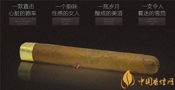 大衛(wèi)杜夫雪茄(金裝美味)價(jià)格表圖 大衛(wèi)杜夫金裝美味多少錢(qián)