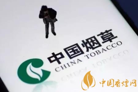 煙草公司是公務(wù)員嗎 公務(wù)員和煙草公司哪個待遇好