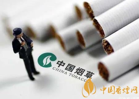 2020將通過提稅和漲價(jià)來控?zé)?維護(hù)公共場(chǎng)所健康！