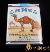 無嘴駱駝（美國免稅）最新價格介紹及口感評測